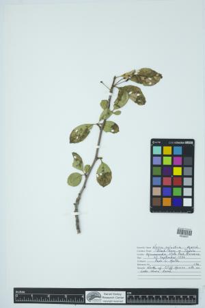 91734-Service File.jpg