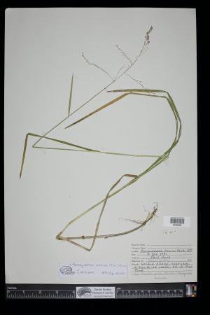 91735-Service File.jpg