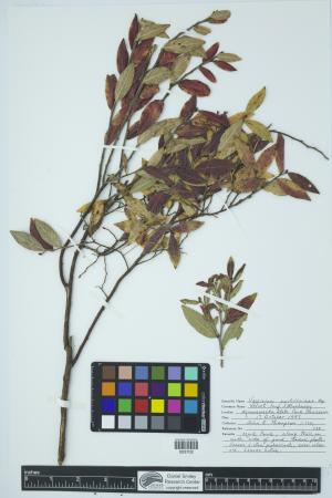 91739-Service File.jpg