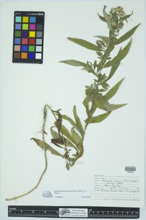 91880-Service File.jpg