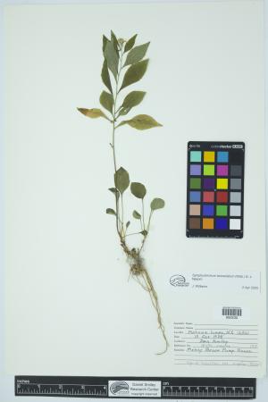 91881-Service File.jpg