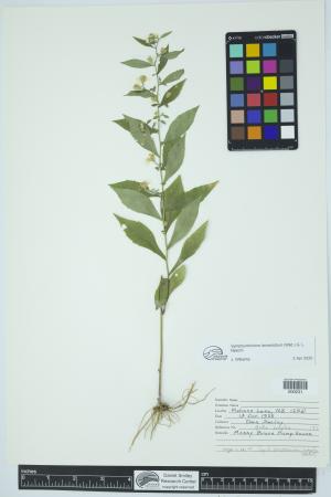 91882-Service File.jpg