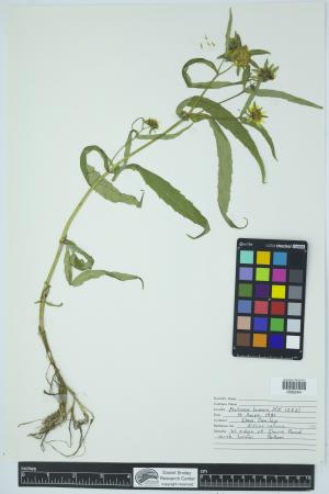 91893-Service File.jpg