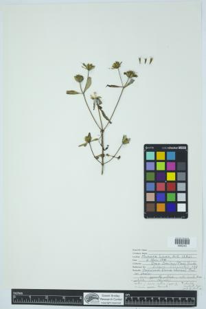 91894-Service File.jpg
