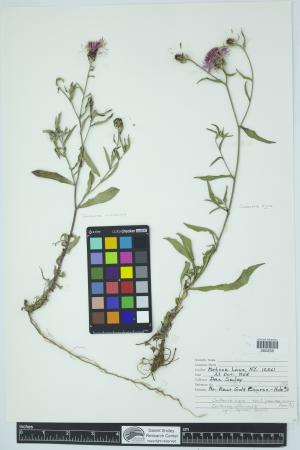 91904-Service File.jpg