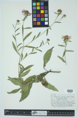 91906-Service File.jpg