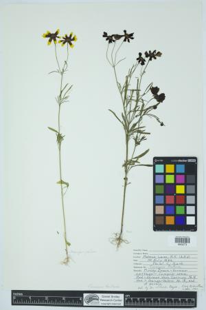 91918-Service File.jpg