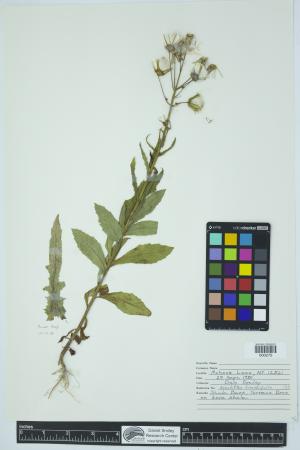 91920-Service File.jpg