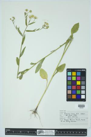91924-Service File.jpg