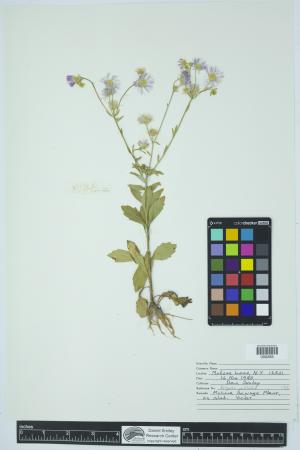 91929-Service File.jpg