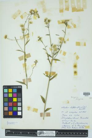 91931-Service File.jpg
