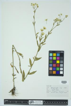 91932-Service File.jpg