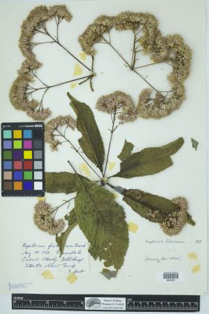 91935-Service File.jpg