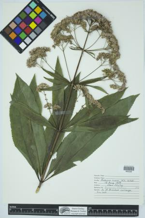 91936-Service File.jpg