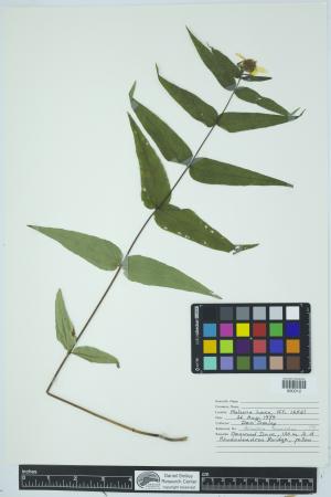 91955-Service File.jpg