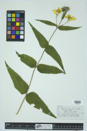 91956-Service File.jpg