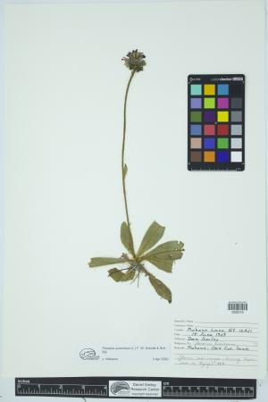91958-Service File.jpg
