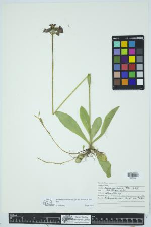91959-Service File.jpg