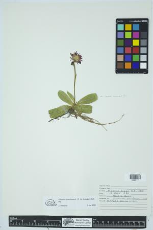 91960-Service File.jpg