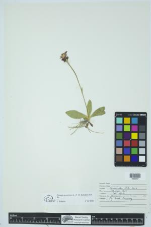 91961-Service File.jpg