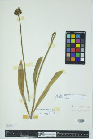 91964-Service File.jpg