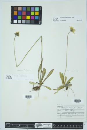 91965-Service File.jpg