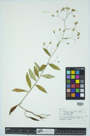 91966-Service File.jpg