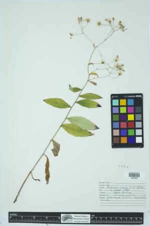 91968-Service File.jpg