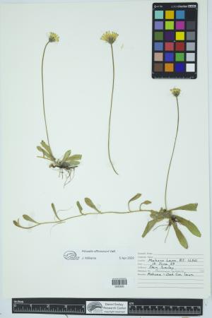 91969-Service File.jpg