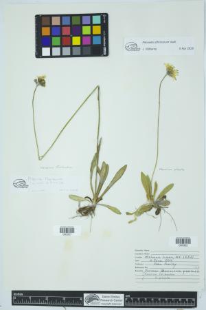 91970-Service File.jpg