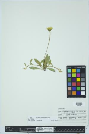 91971-Service File.jpg