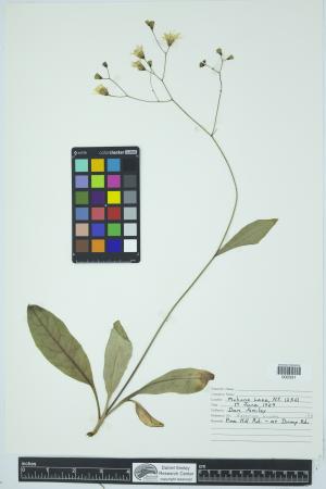 91974-Service File.jpg