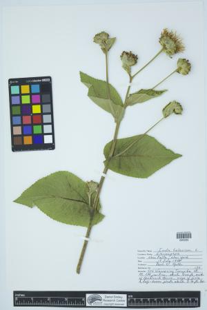 91977-Service File.jpg