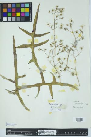 91982-Service File.jpg
