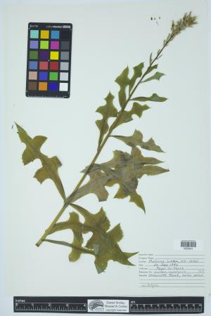 91983-Service File.jpg