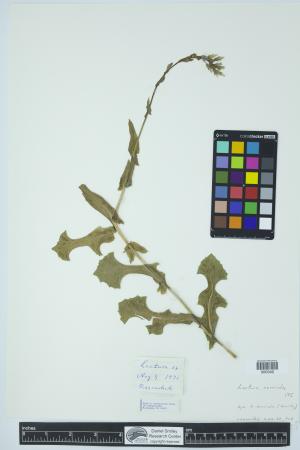 91984-Service File.jpg