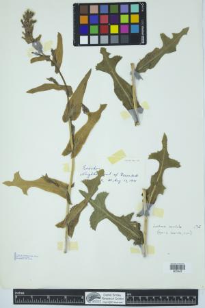 91985-Service File.jpg