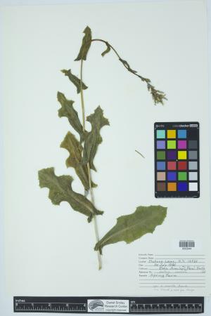 91986-Service File.jpg
