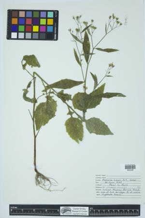 91988-Service File.jpg