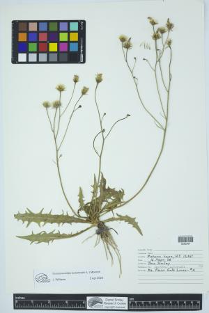 91989-Service File.jpg
