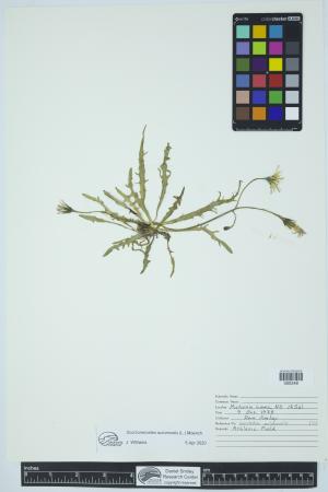 91990-Service File.jpg