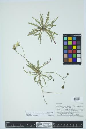 91991-Service File.jpg