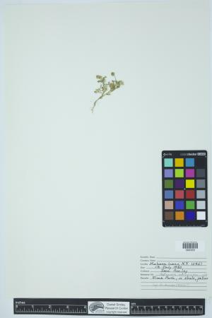 91996-Service File.jpg