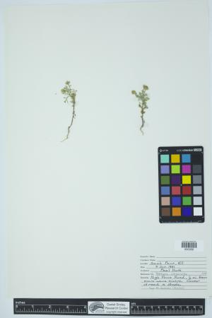 91997-Service File.jpg