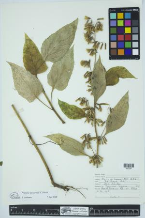 91998-Service File.jpg