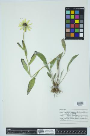 92001-Service File.jpg