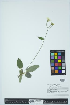 92004-Service File.jpg