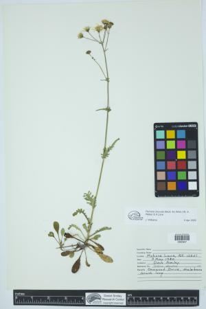92008-Service File.jpg