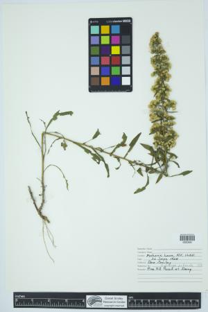 92031-Service File.jpg