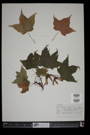 92073-Service File.jpg